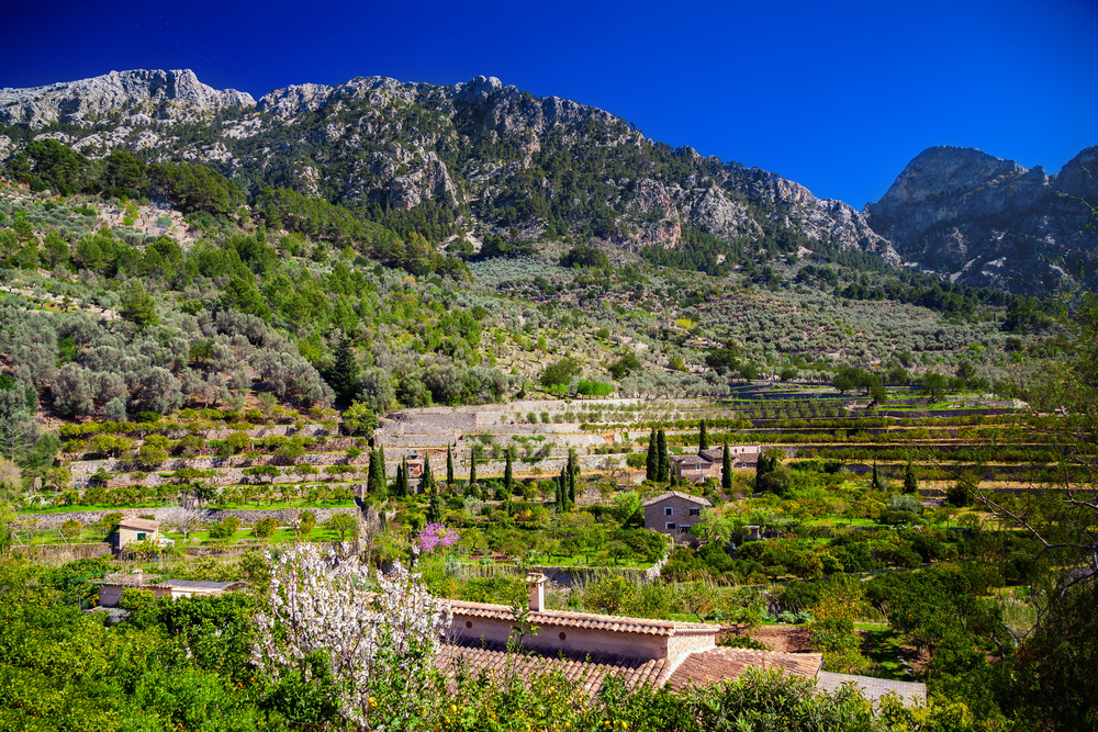 Mallorca